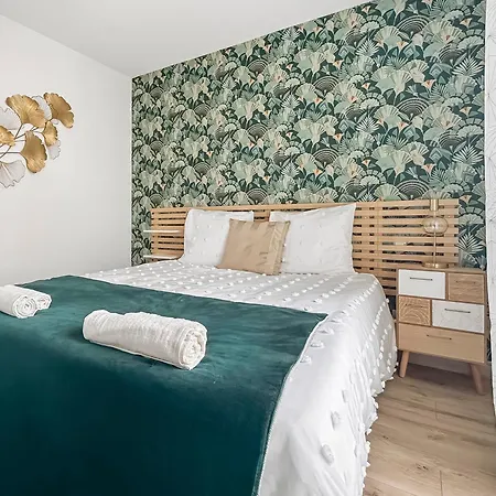 Daire T3 Cosy Climatise A Albi Avec Terrasse, & Parking