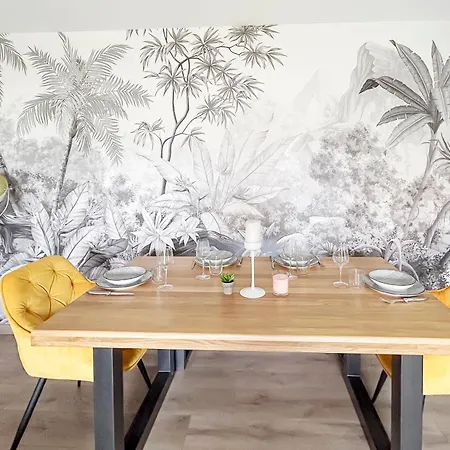 Daire T3 Cosy Climatise A Albi Avec Terrasse, & Parking *
